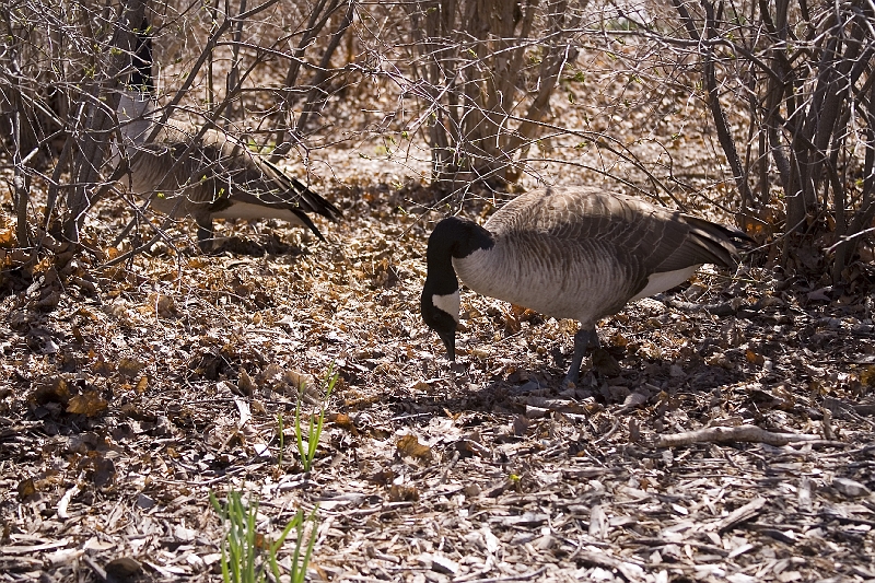 20060414-Easter-011