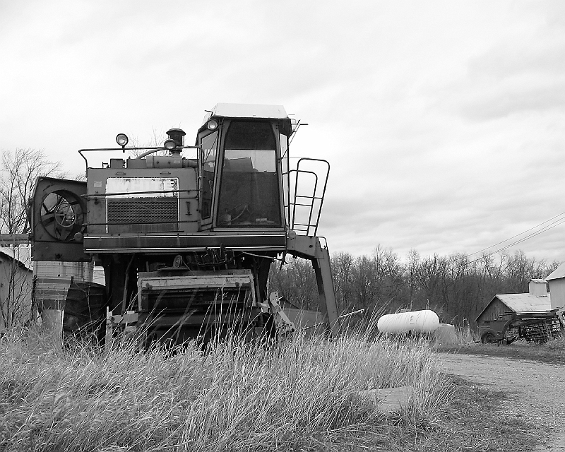 20060430-MaddiePics1-017-bw