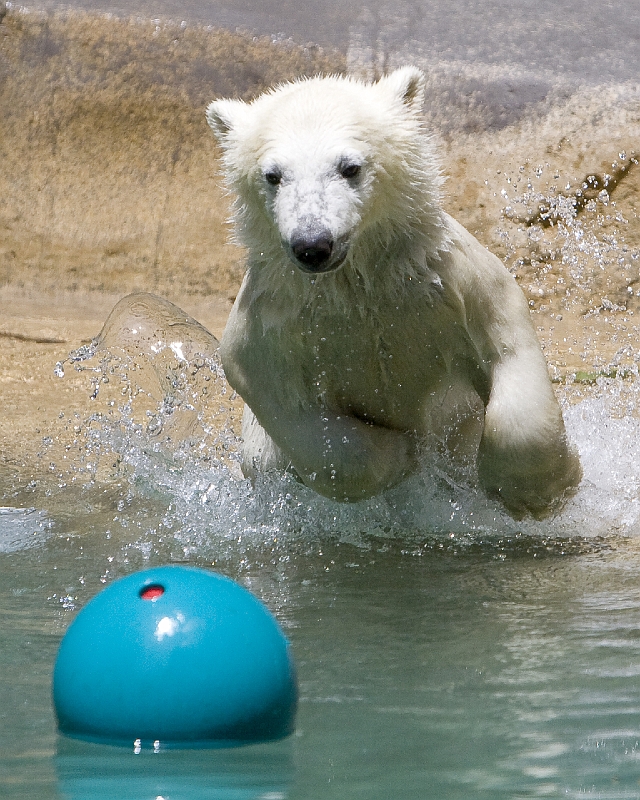 _MG_5838_zooentry